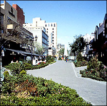 Zona rosa